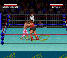 WWF Super WrestleMania Screenshot 1